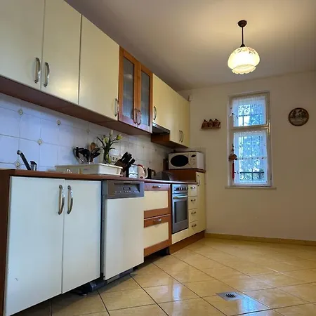 Vila Party Rent *