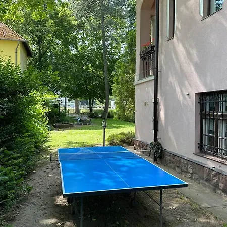 Vila Party Rent Balatonföldvár