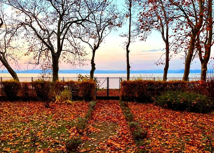 Party Rent Villa Balatonföldvár