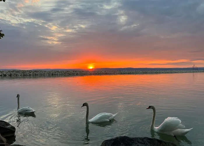 Party Rent Willa Balatonföldvár